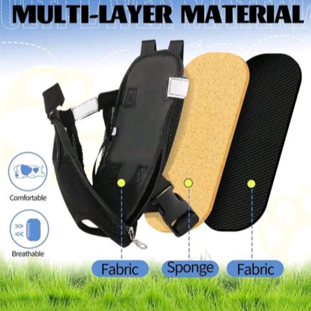 😺Cat/ Dog 🐶 carrier